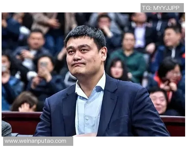 姚明为何遭受质疑与争议背后的深层原因分析与解读