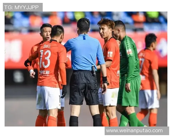 深圳羽毛球队战术争议引发热议球迷与专家各执己见探讨未来发展方向